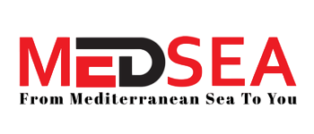 Medsea Logo